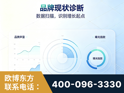 华蓥-品牌现状诊断